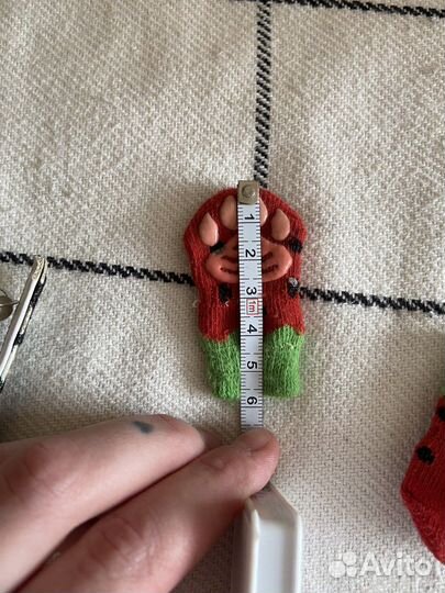 Одежда для собак