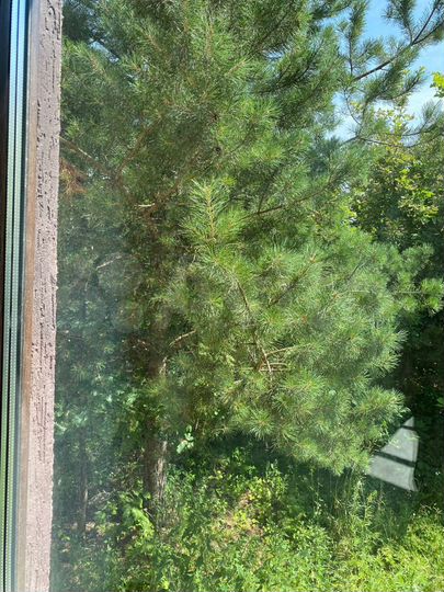 Дом 193,9 м² на участке 12 сот.