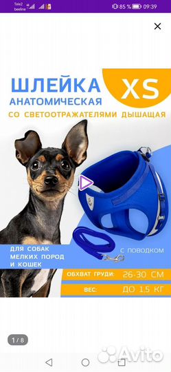 Шлейка для маленькой собаки