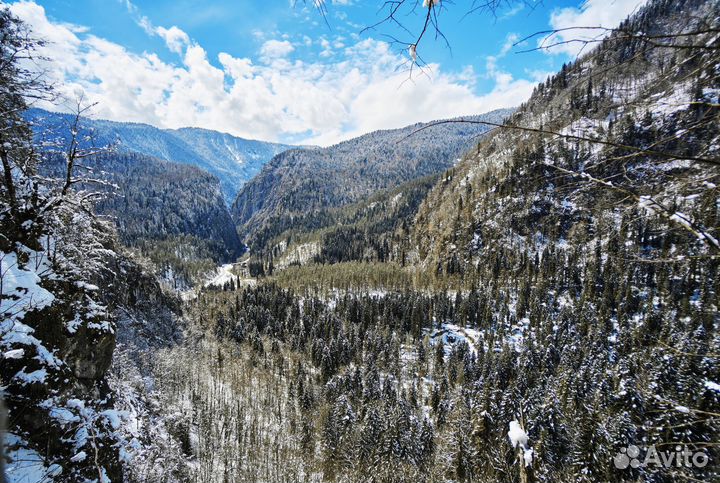 Тур в Абхазию, Сочи и Краснодар из Ижевска