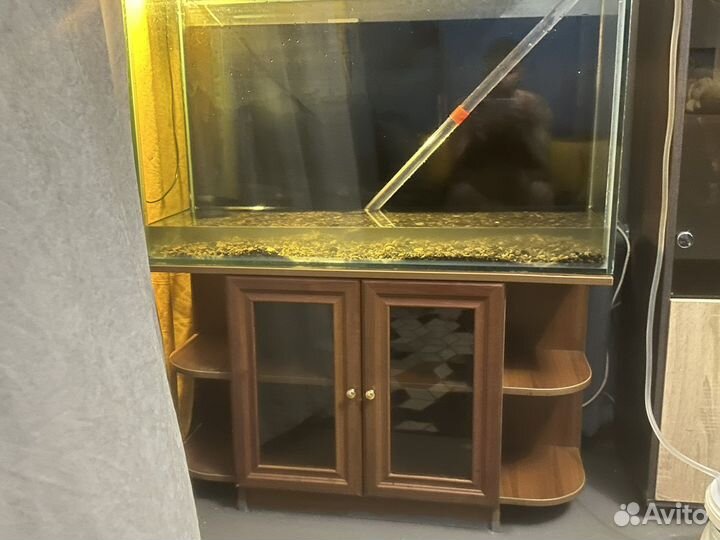 Аквариумные рыбки