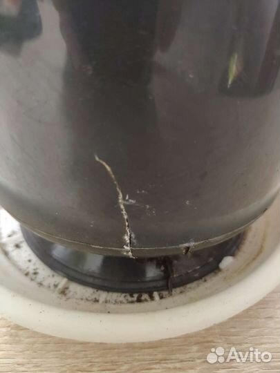 Сансевиерия муншайн