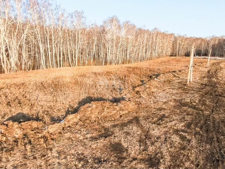 Участок 7 сот. (ИЖС)