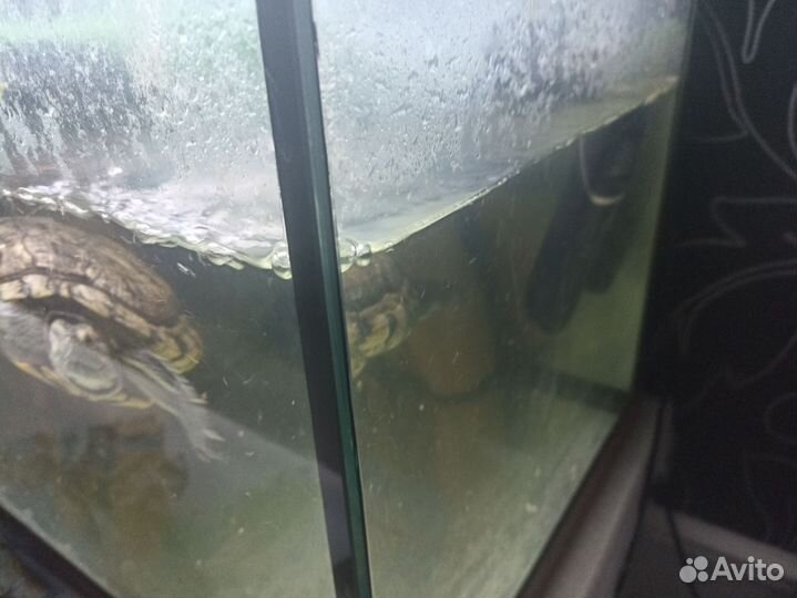 Террариум для черепах