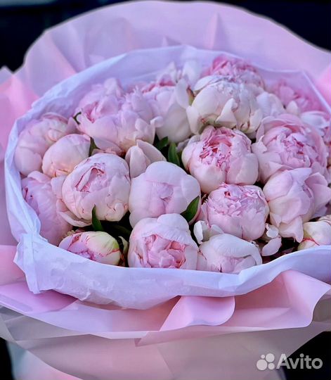 Голландские пионы