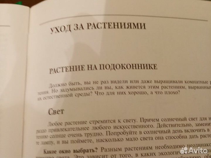 Энциклопедия, комнатных растений