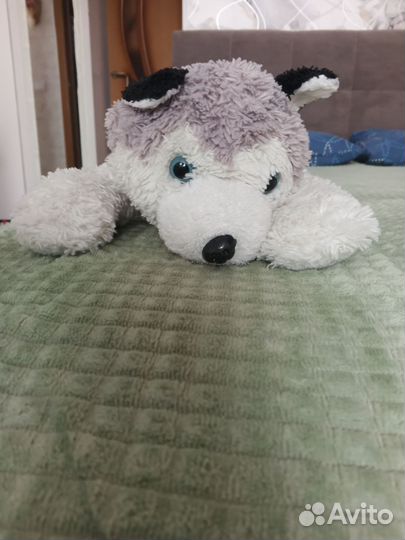 Собака с породой Хаски. Мягкая игрушка