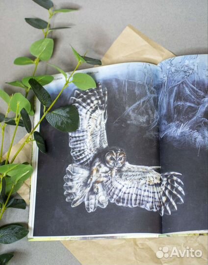 Книга скетчбук о природе Великобритании