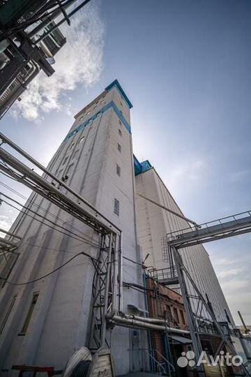 Комбикорм для свиней и поросят