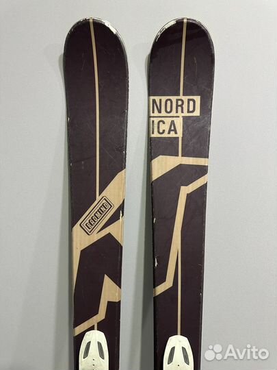 Горные лыжи hordica twin tip badmind