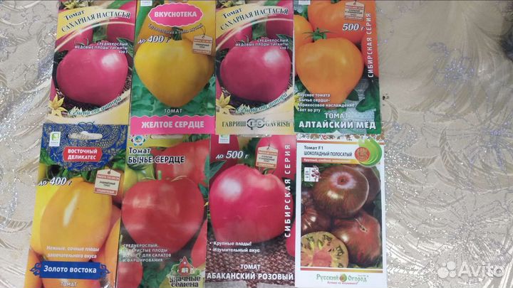 Рассада помидор, перца,баклажан