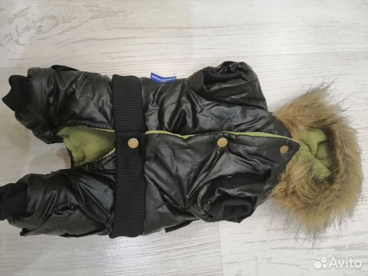 Одежда для маленьких собак комбине9зоны обувь бу