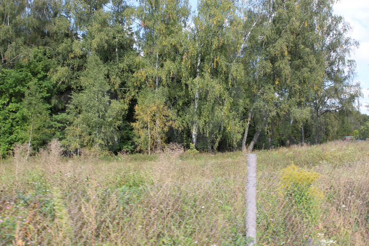 Участок 6,6 сот. (ИЖС)