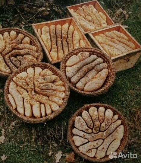 Дикий Бортевой мёд