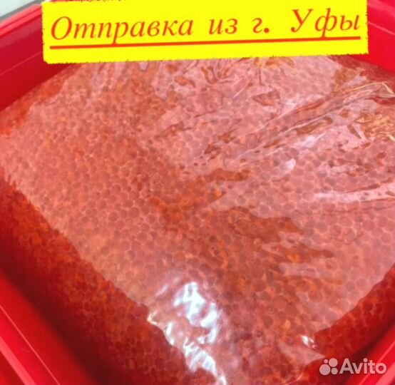 Красная икра