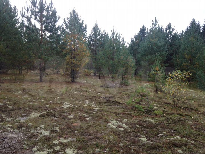 Участок 60 сот. (ИЖС)