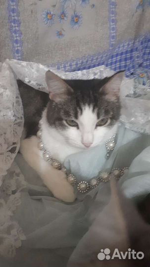 Даша хочет домой