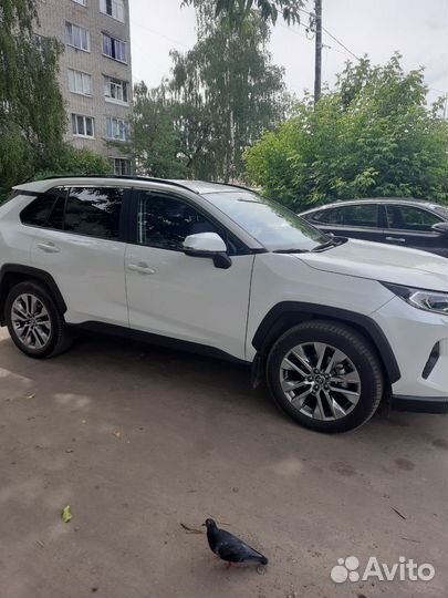 Toyota RAV4 2.0 CVT, 2021, 39 000 км