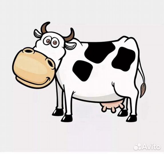 Корова и нетель