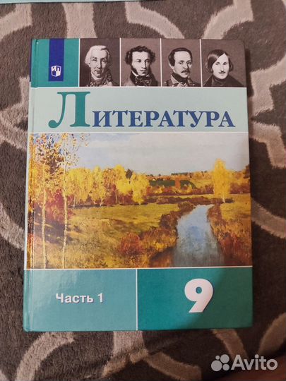 Учебник по литературе 9 класс 1 часть Коровина