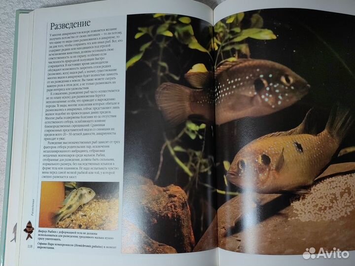 Энциклопедия аквариумные рыбки