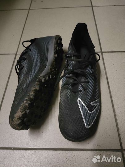 Сороконожки демикс