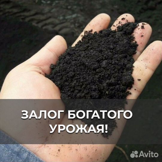 Чернозем / торф / плодородный грунт