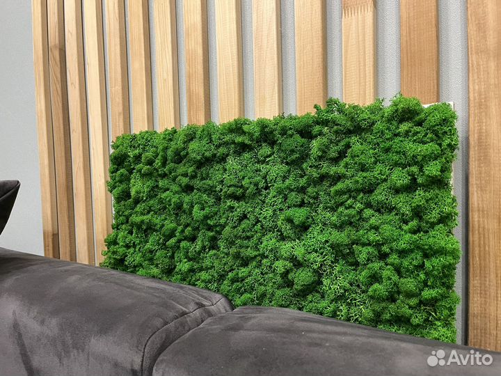 Картина с живым мхом