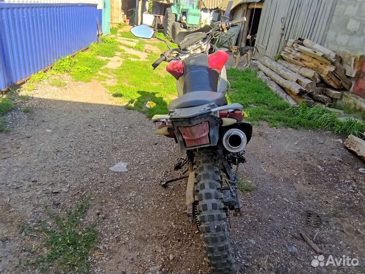 Raser ranger 200 GY-8