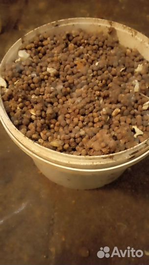 Навоз кроличий и куринный помёт