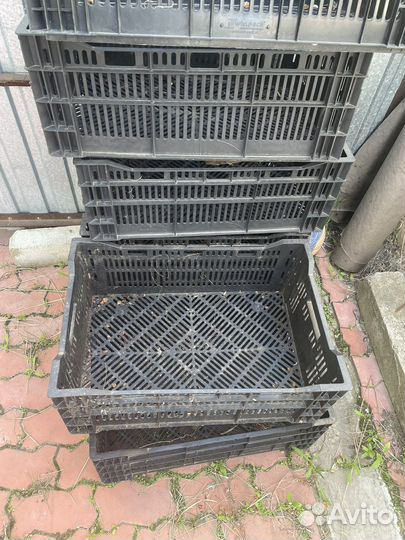 Ящик пластиковый