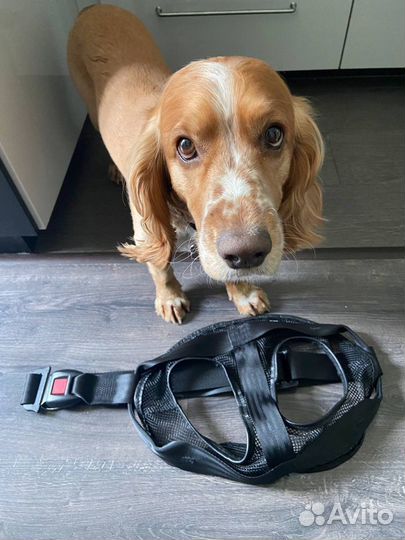 Безопасная шлейка для собак BMW