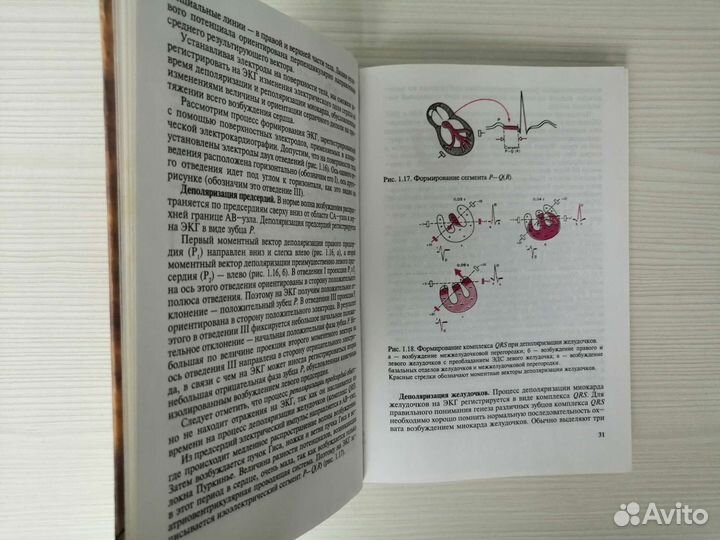 Электрокардиография (2000г.) / В. Мурашко