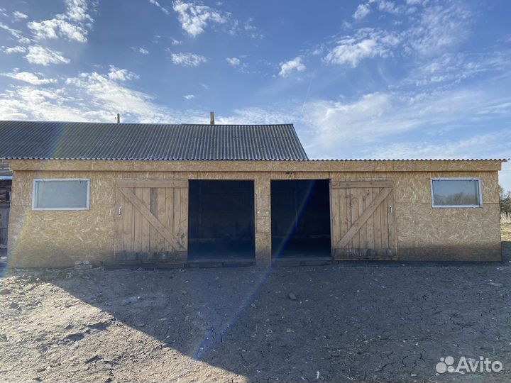 Инкубационное яйцо гусиное