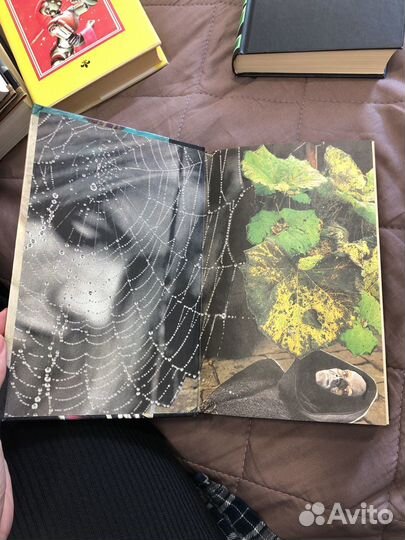 Книга Стругацкий 3 рассказа