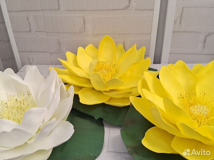 Кувшинки (лотосы) из фоамирана