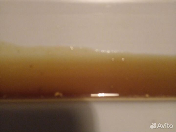 Жмых семян тыквы