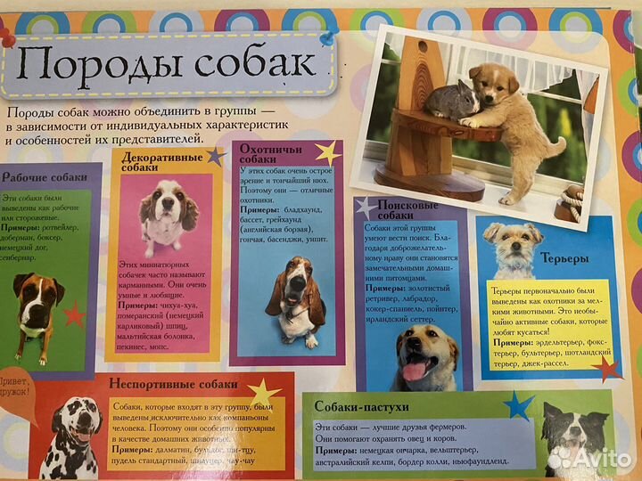 Книжка-пазл Все о собаках