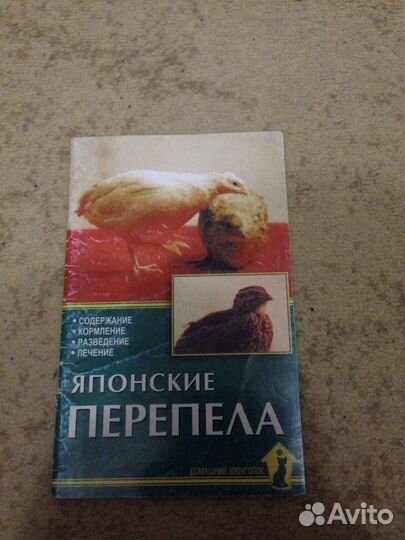 Японские перепела