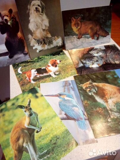 Открытки СССР