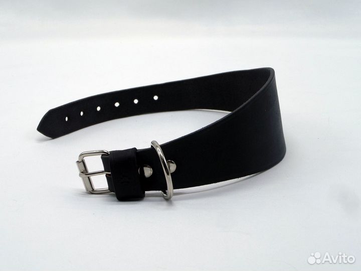 Ошейник селедка для собак