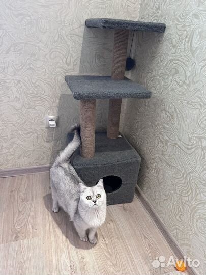 Домик для кошки бу