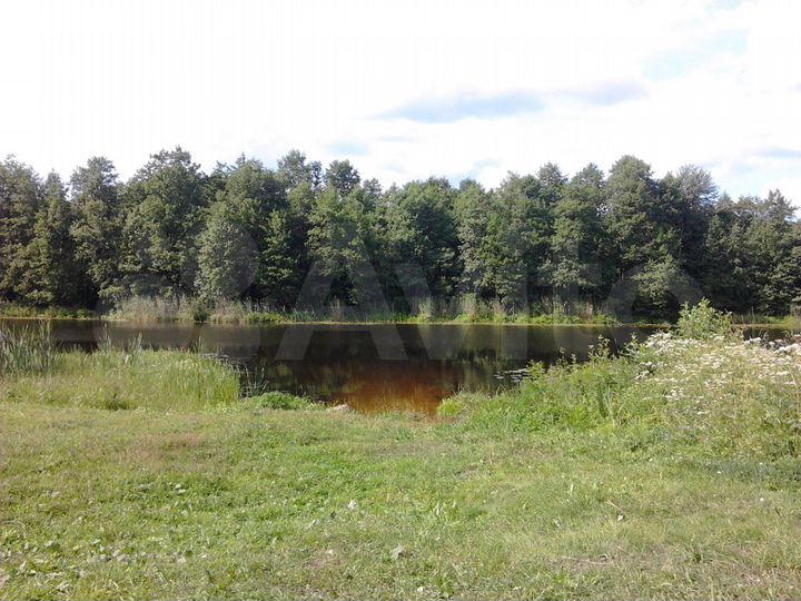 Участок 10 сот. (СНТ, ДНП)