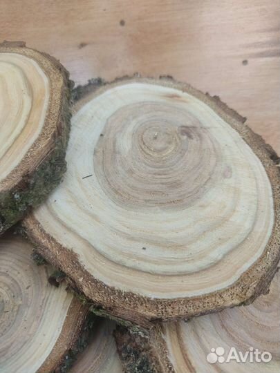 Спил дерева облепиха яблоня слива