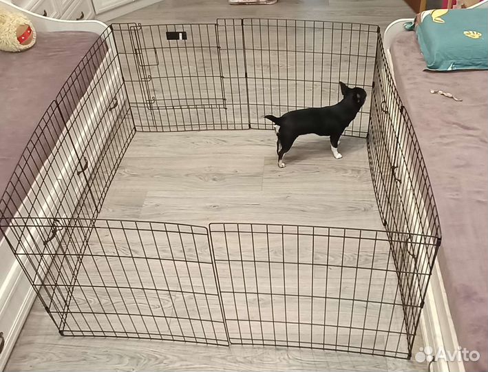 Клетка вольер для собак