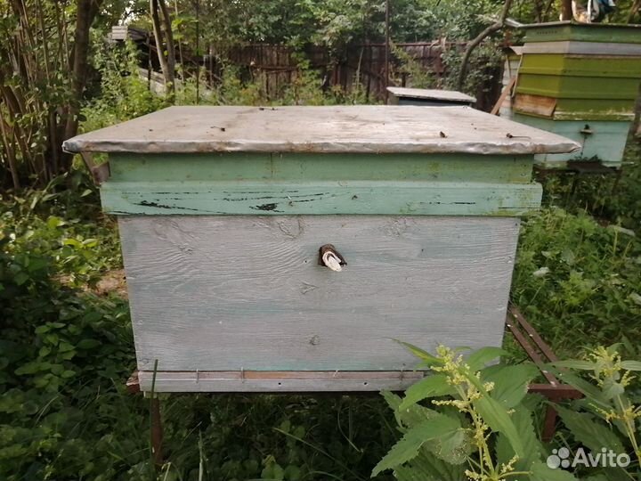 Улий для пчел