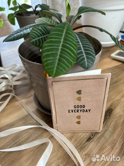 Цветочки к дню учителя