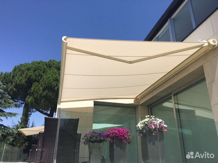 Маркиза локтевая