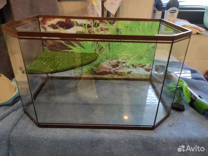 Аквариум для черепах 15-20л