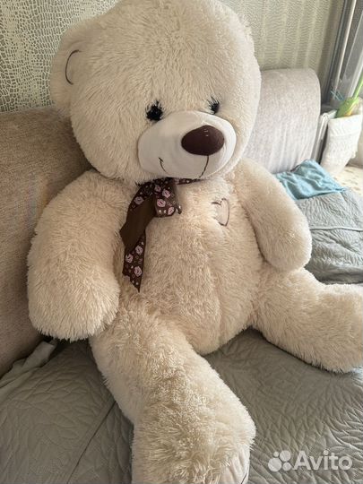 Плюшевый медведь